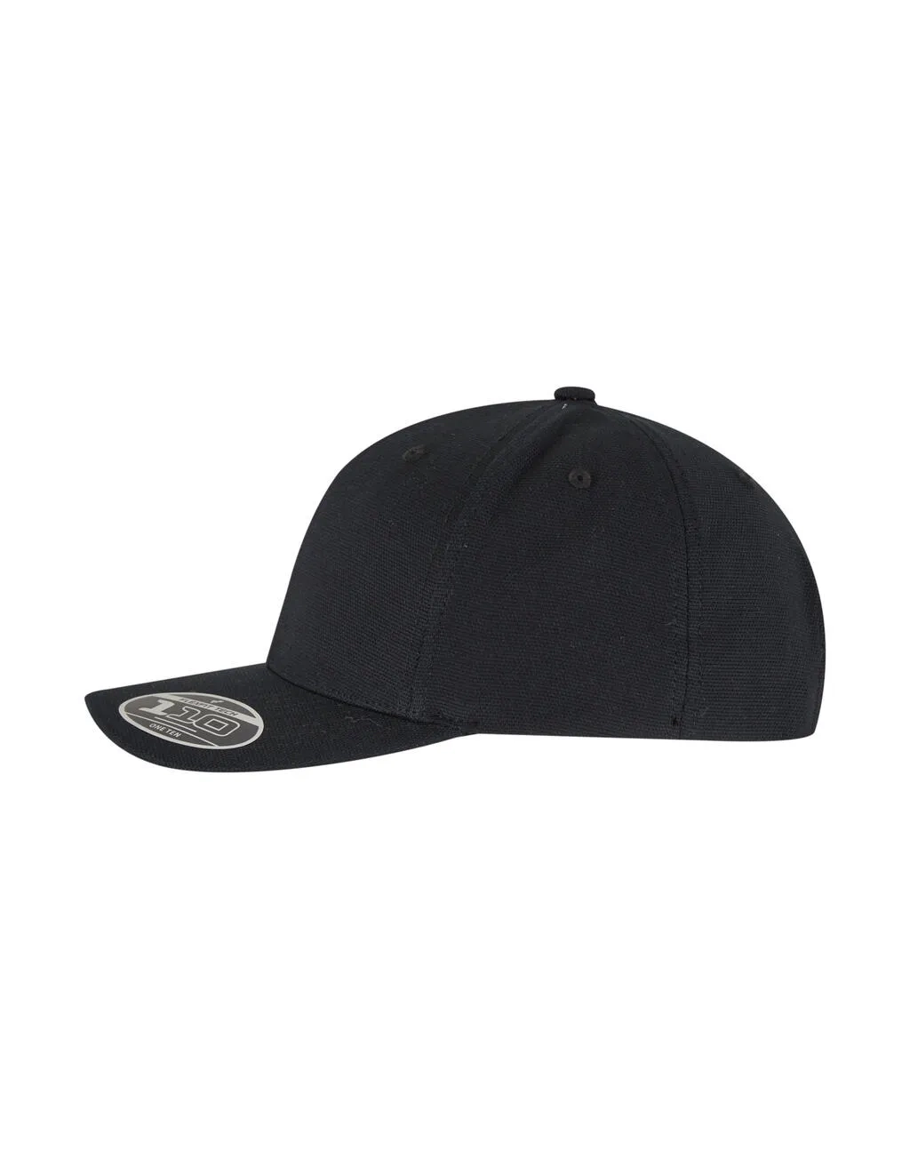 Flexfit 110 Curved Snapback