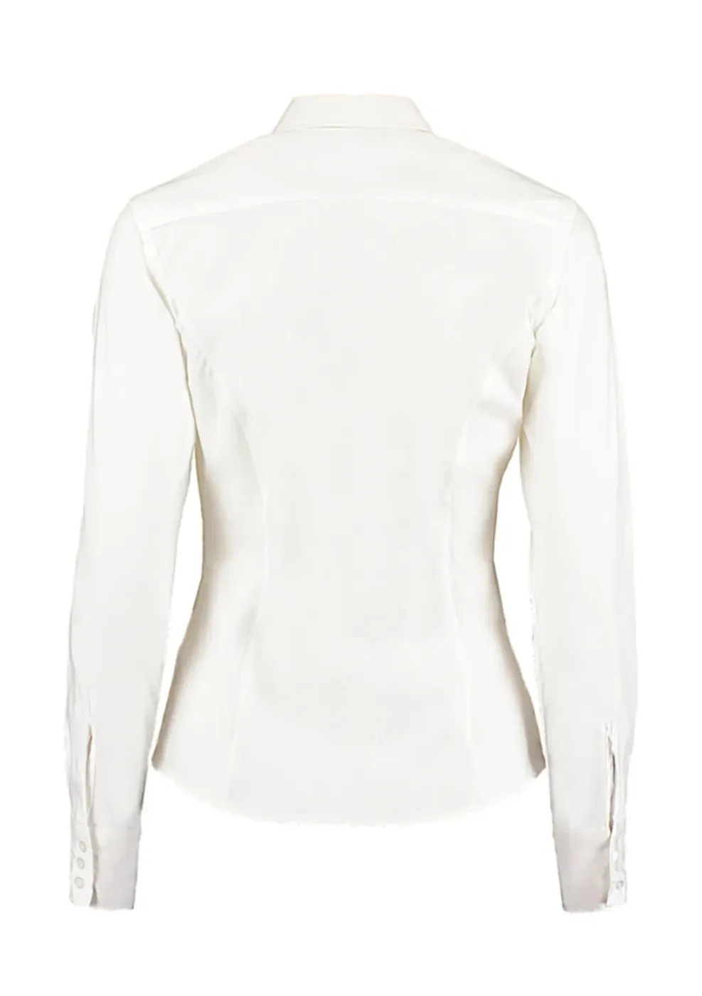 Women's Tailored Fit Premium Oxford Shirt