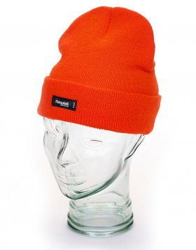 Fluo Thinsulate Hat