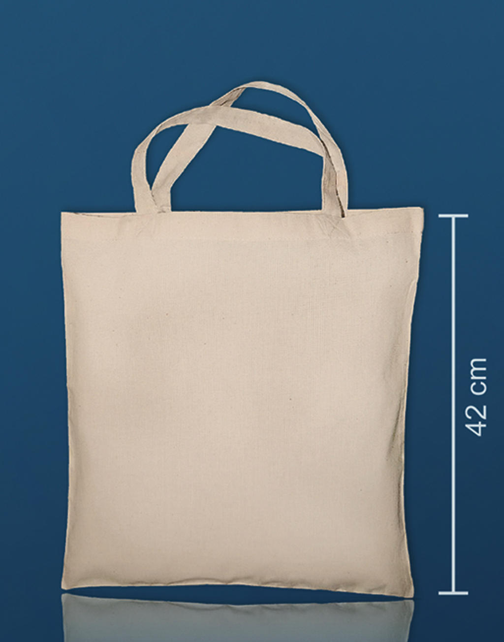 Classic Canvas Tote SH