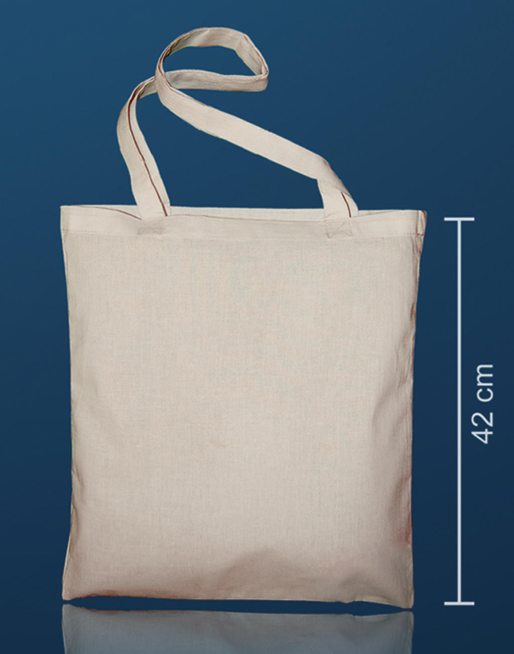 Canvas Tote LH