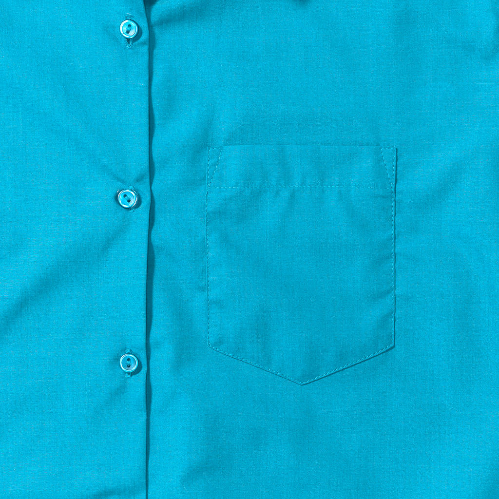 Ladies` LS Poplin Shirt