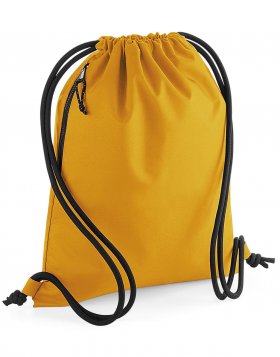 Recycled Gymsac