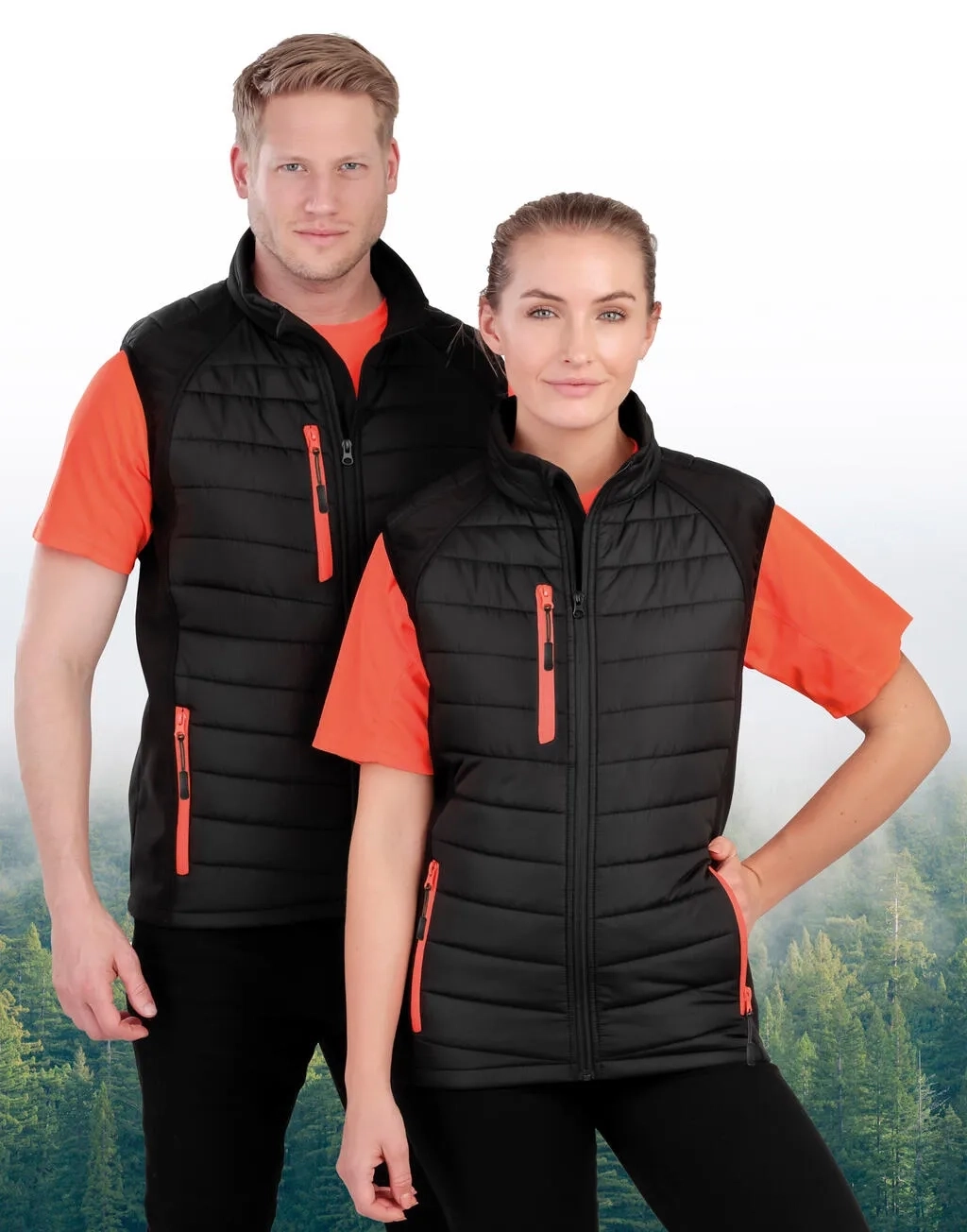 Compass Padded Softshell Gilet