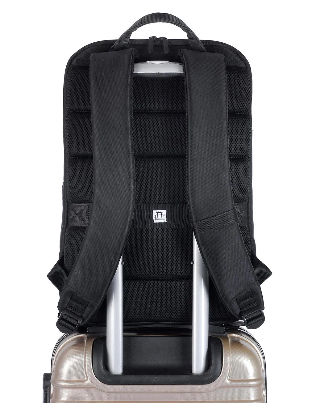 Interlaken Alpine Laptop Backpack