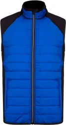 Dark Royal Blue/Black