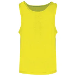 Fluorescent Yellow