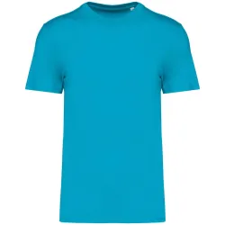 Light Turquoise