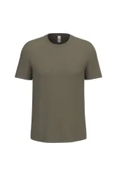 Ideal Olive