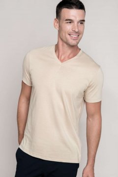 MEN'S SHORT-SLEEVED V-NECK T-SHIRT