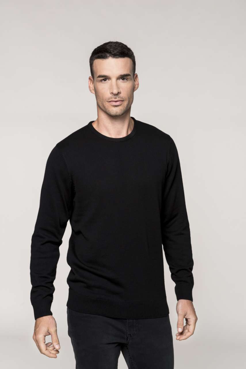 MEN'S CREW NECK JUMPER