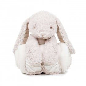 RABBIT AND BLANKET